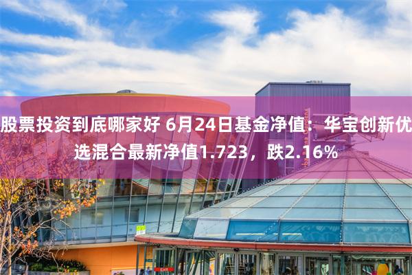 股票投资到底哪家好 6月24日基金净值：华宝创新优选混合最新净值1.723，跌2.16%