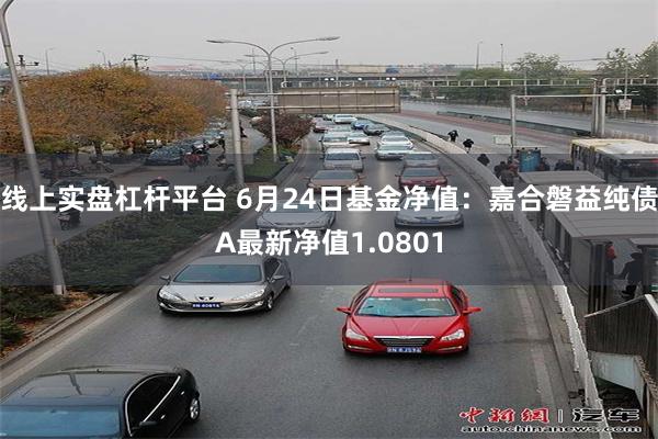 线上实盘杠杆平台 6月24日基金净值：嘉合磐益纯债A最新净值1.0801