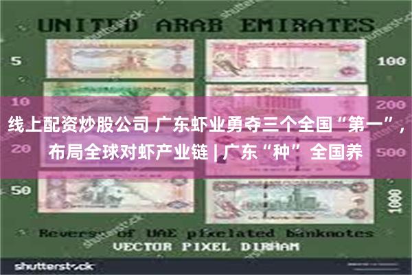 线上配资炒股公司 广东虾业勇夺三个全国“第一”，布局全球对虾产业链 | 广东“种” 全国养