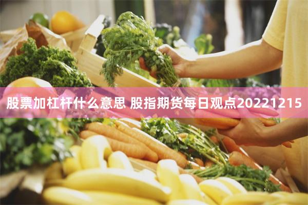 股票加杠杆什么意思 股指期货每日观点20221215