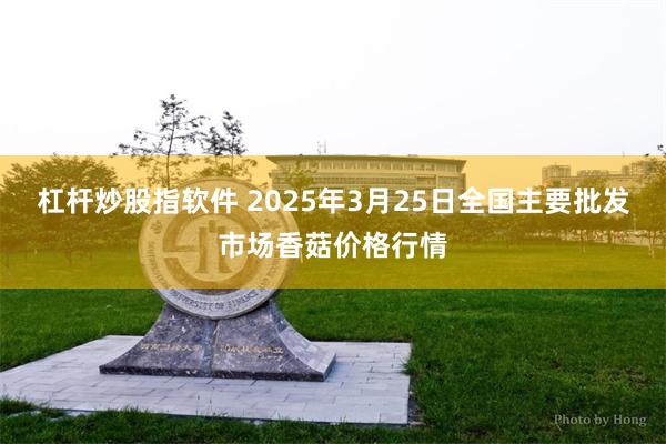 杠杆炒股指软件 2025年3月25日全国主要批发市场香菇价格行情