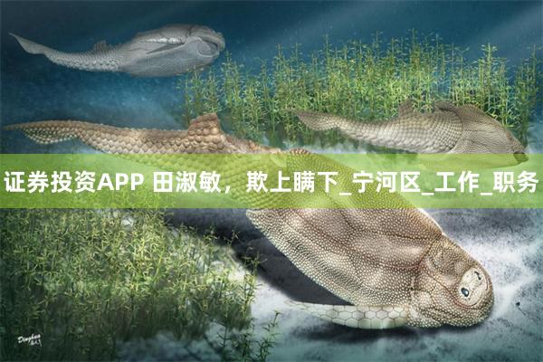 证券投资APP 田淑敏，欺上瞒下_宁河区_工作_职务