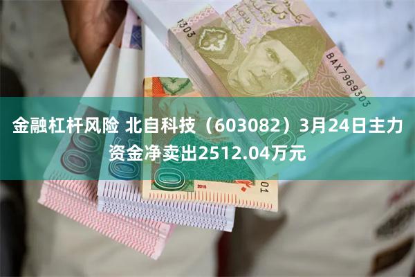 金融杠杆风险 北自科技（603082）3月24日主力资金净卖出2512.04万元
