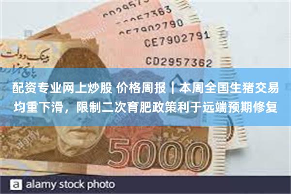 配资专业网上炒股 价格周报｜本周全国生猪交易均重下滑，限制二次育肥政策利于远端预期修复