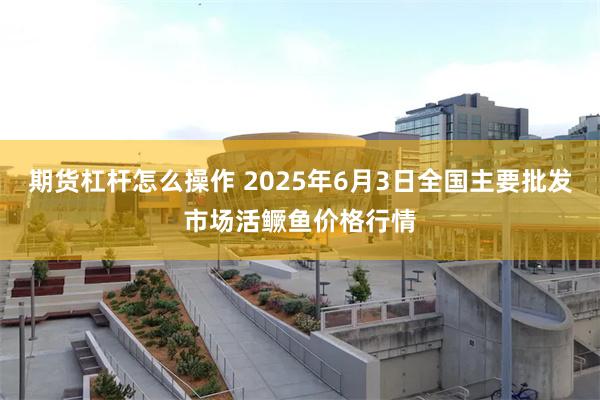 期货杠杆怎么操作 2025年6月3日全国主要批发市场活鳜鱼价格行情