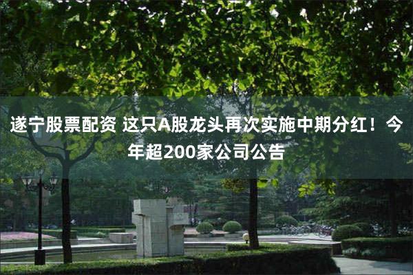 遂宁股票配资 这只A股龙头再次实施中期分红！今年超200家公司公告